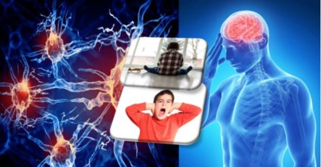 11. ábra – idegrendszeri gyulladás és autizmus tünetek