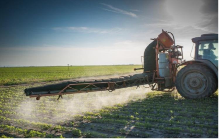 17. ábra – A szója, gyapot és kukoricamezők több mint 90%-át glifozáttal permetezik az USÁban. 1,2 milliárd font mennyiségben évente.